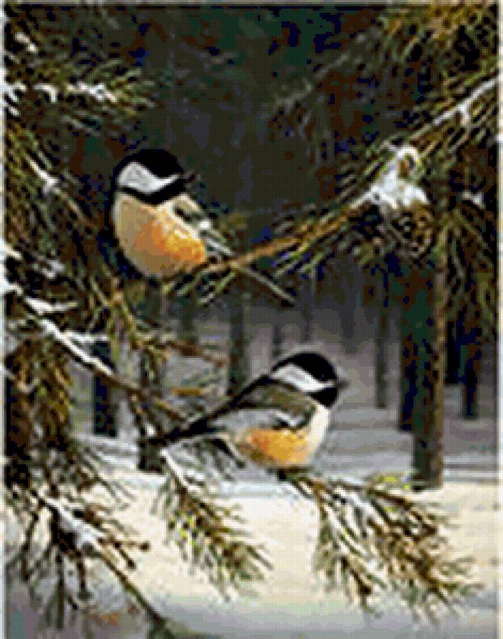 наши друзья - птицы зима лес - предпросмотр