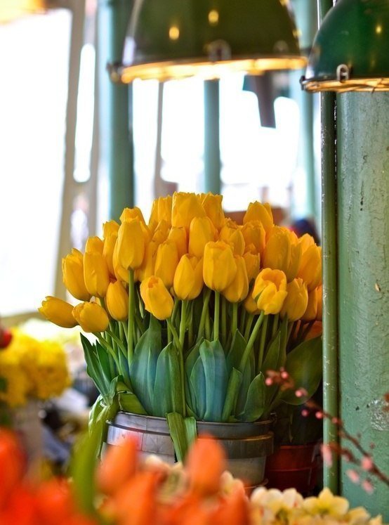 Желтые тюльпаны - цветы, натюрморты, тюльпаны, красота, букеты - оригинал