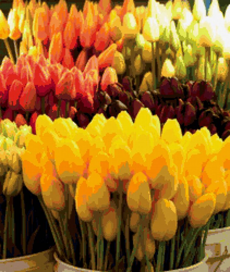 Желтые тюльпаны - тюльпаны, натюрморты, красота, цветы, букеты - предпросмотр