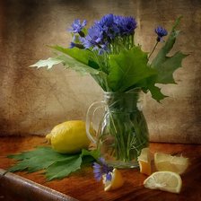 Схема вышивки «№182847»