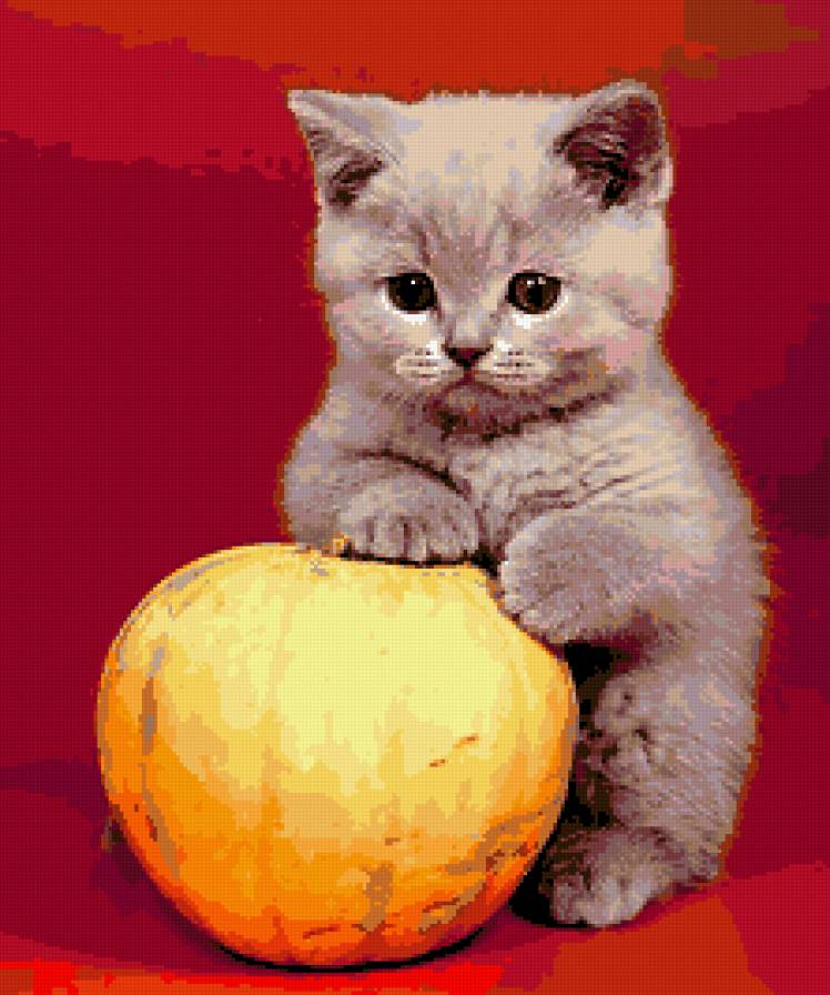 киска - животные, кошки - предпросмотр