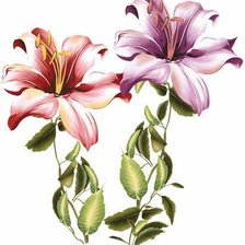 Схема вышивки «лилии»