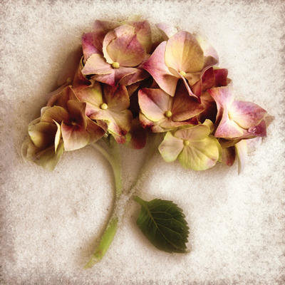 №182873 - оригинал