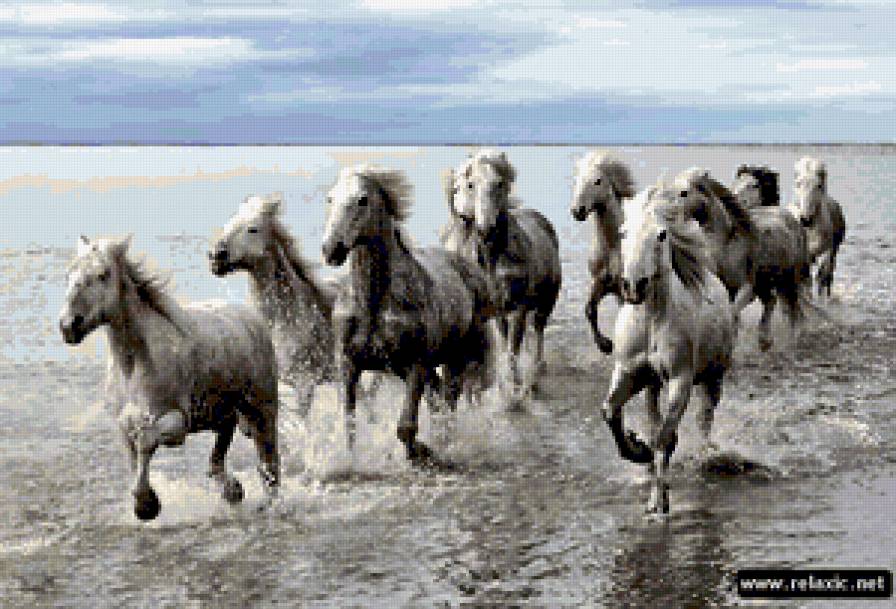 №182980 - животные - предпросмотр