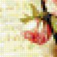 Предпросмотр схемы вышивки «натюрморт» (№183119)