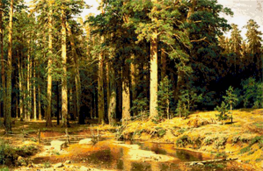 Корабельная роща - пейзаж, лес - предпросмотр