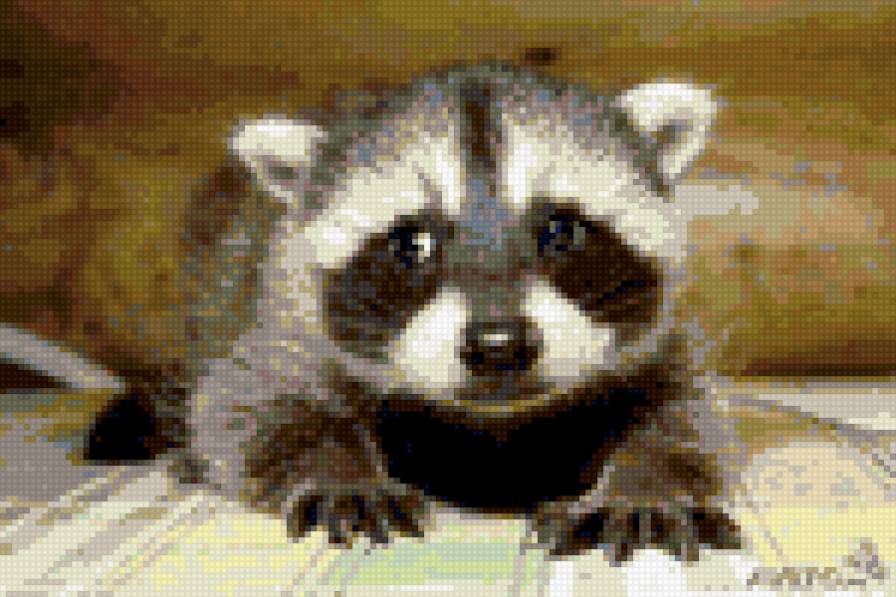 Енот - предпросмотр