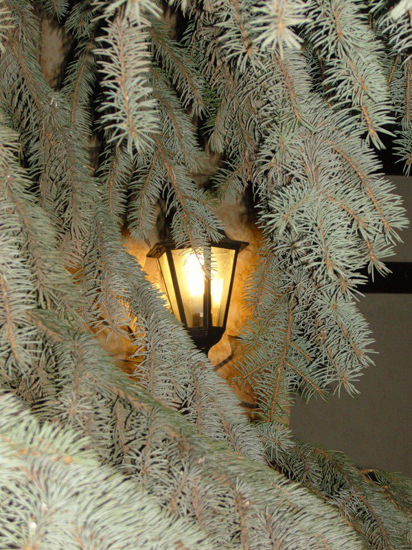 Фонарь - города - оригинал