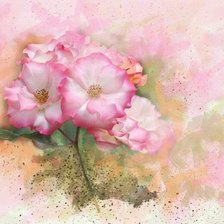 Схема вышивки «№183306»