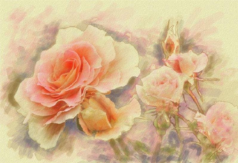 №183307 - цветы - оригинал