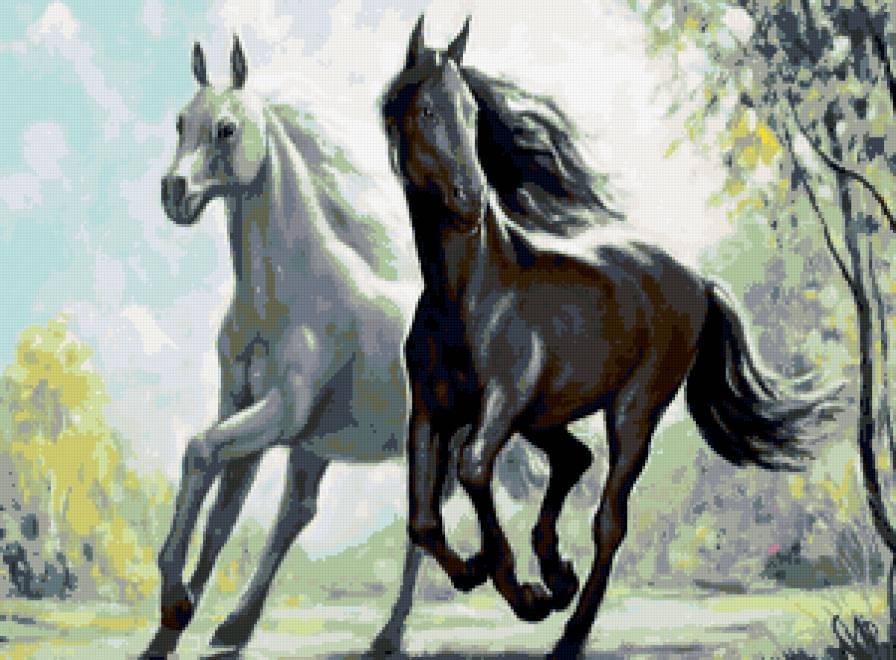 Лошади - лошади - предпросмотр