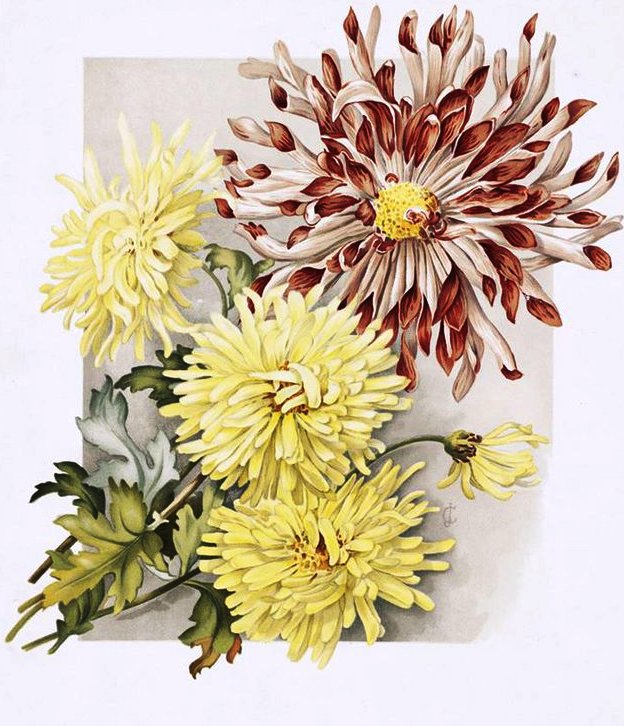 букет - оригинал