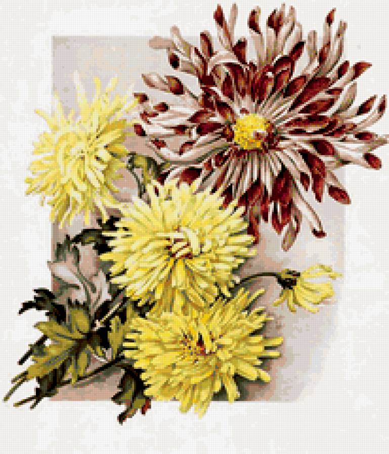 букет - предпросмотр