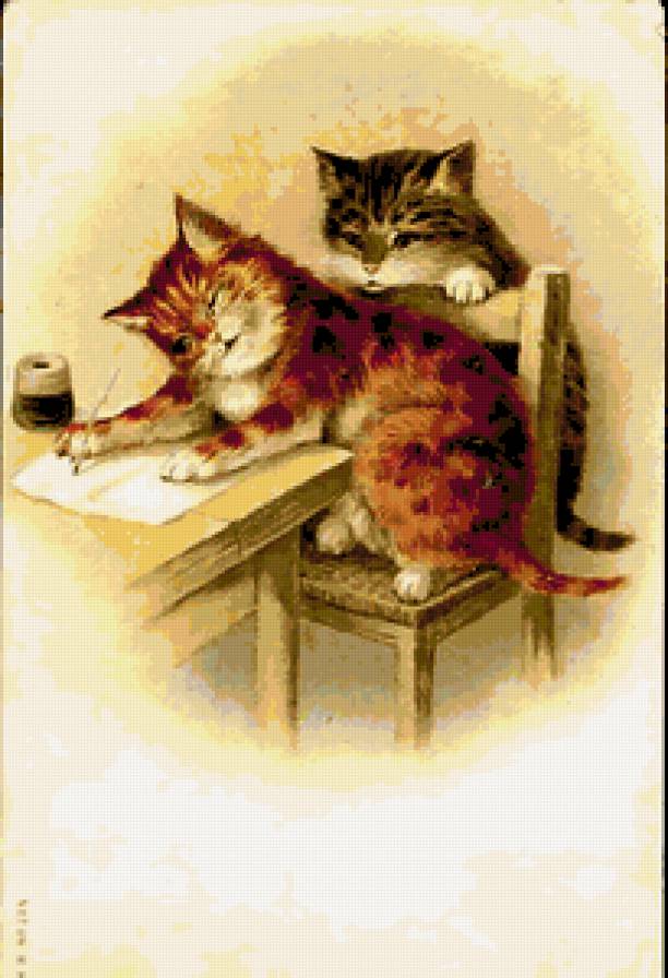 Котики - коты - предпросмотр