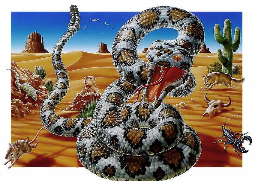 Змеюка - змея - оригинал