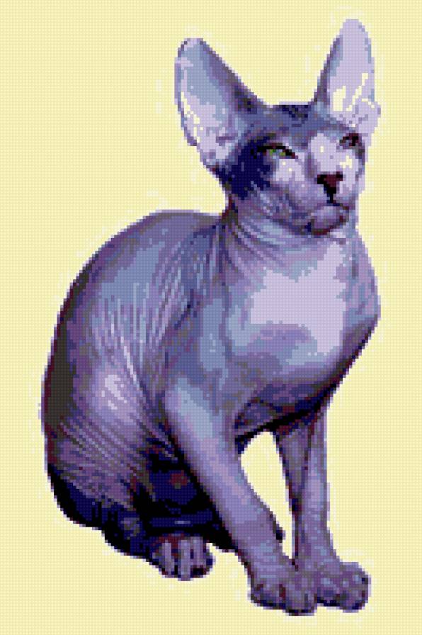 сфинкс,кошка - сфинкс, кошка - предпросмотр