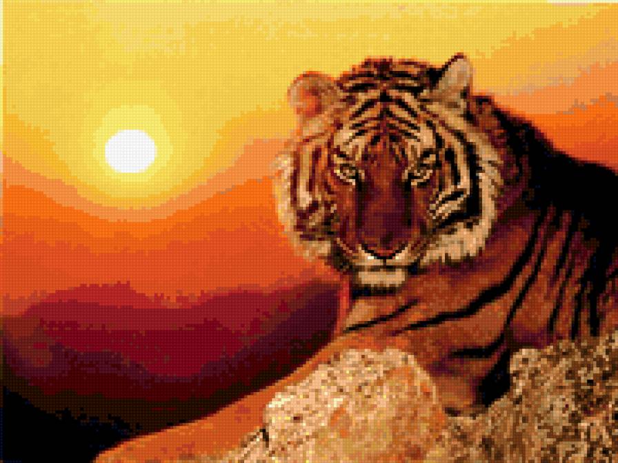 тигр - предпросмотр