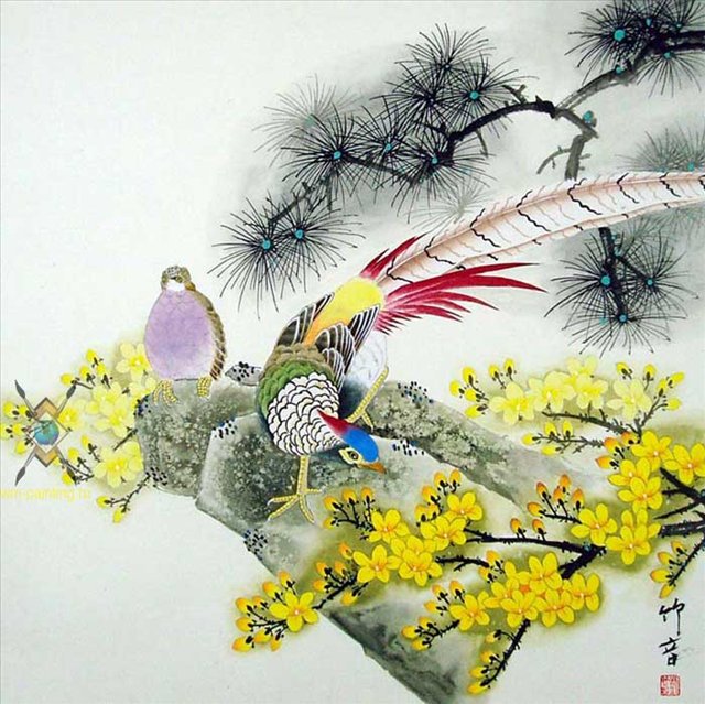 Фазаны в мимозе - птицы, китай, цветы, фазаны - оригинал