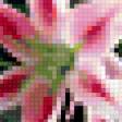 Предпросмотр схемы вышивки «лилии» (№184271)