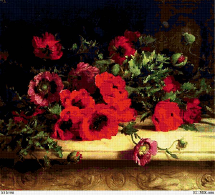 Маки - цветы, маки, натюрморт, букет - предпросмотр