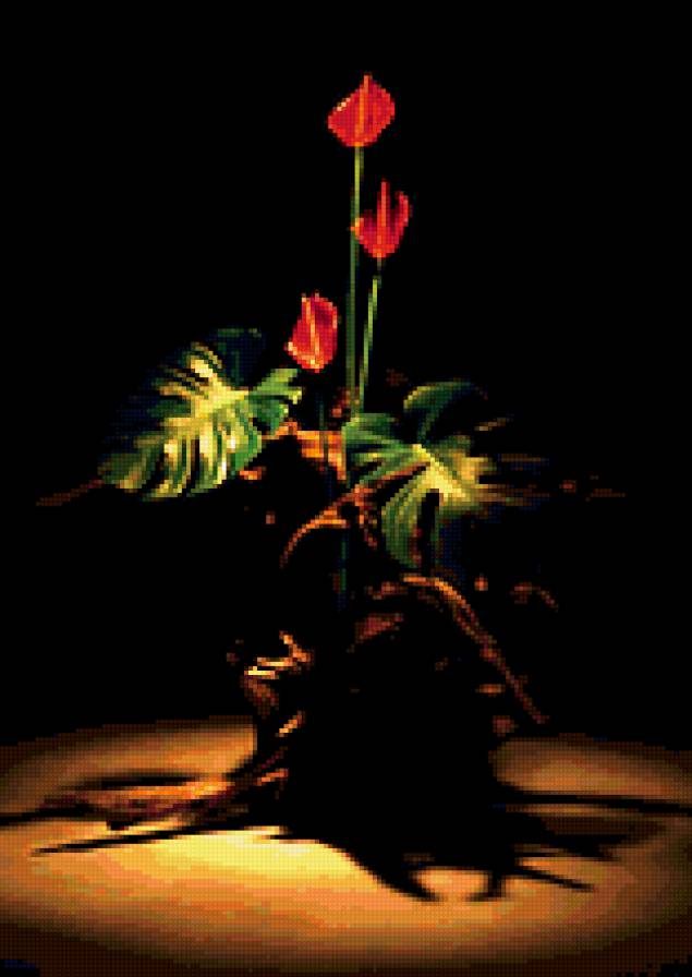 цветы - букет, цветы, романтика, природа - предпросмотр