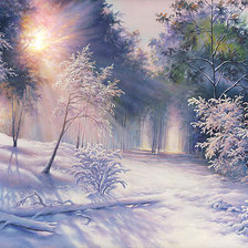 природа зимой