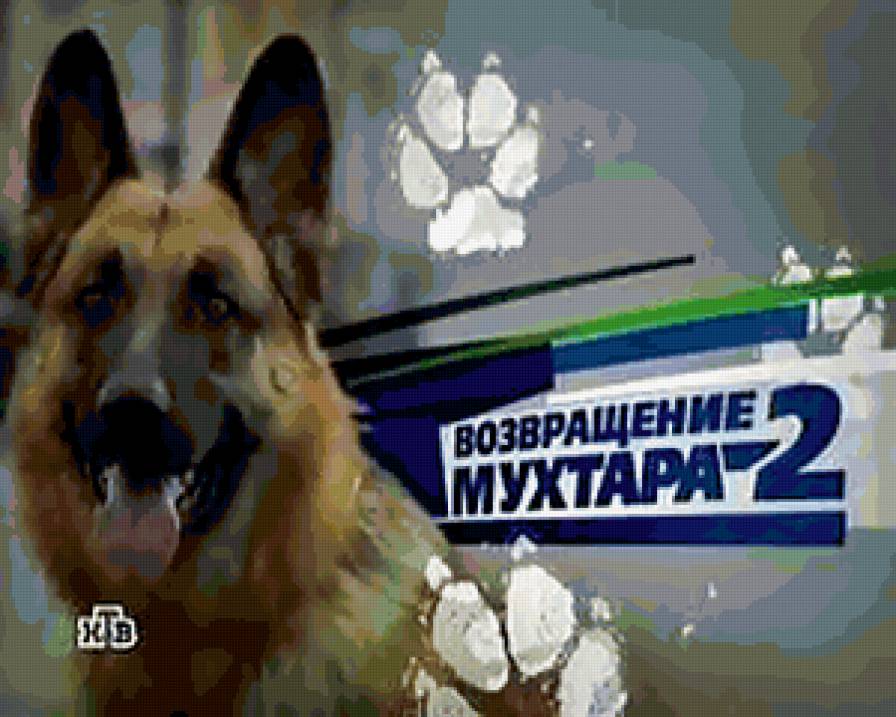 Возвращение Мухтара 2 - мухтар, актеры, собаки, сериалы - предпросмотр