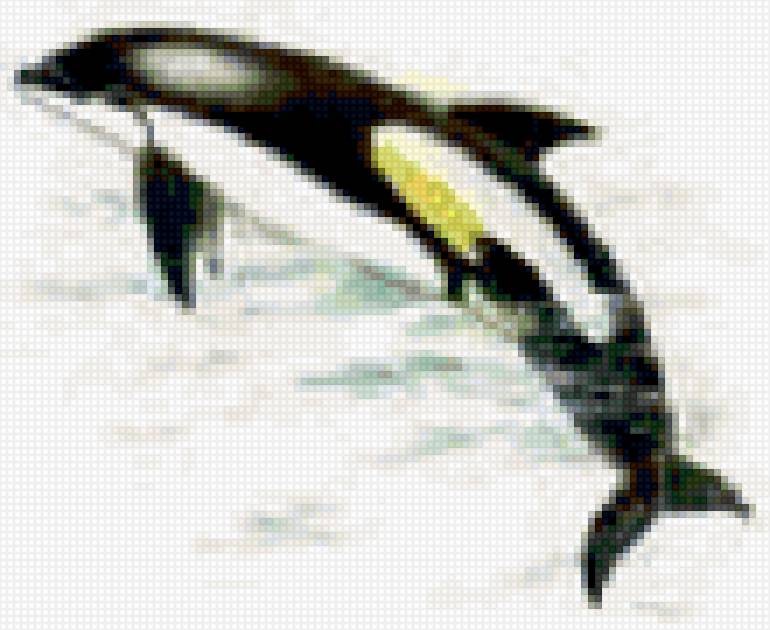 Касатка 2 - предпросмотр