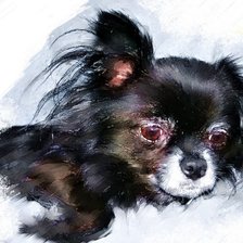 Схема вышивки «№184646»