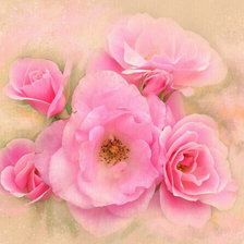 Схема вышивки «№184657»