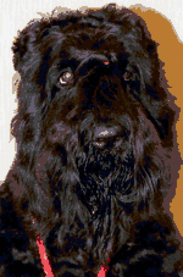 Vicky - предпросмотр