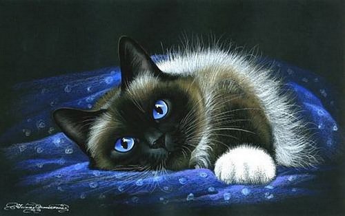 №184743 - кошки - оригинал