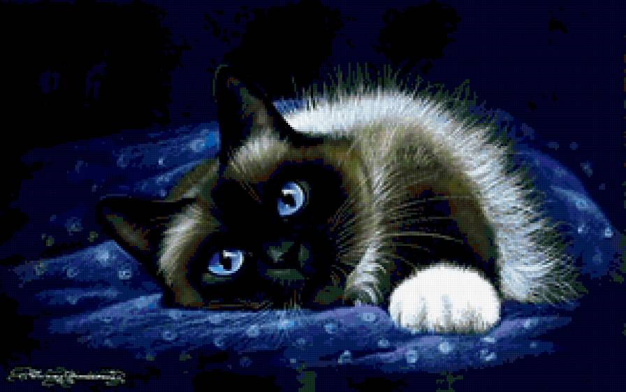 №184743 - кошки - предпросмотр