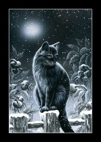 №184759 - кошки - оригинал