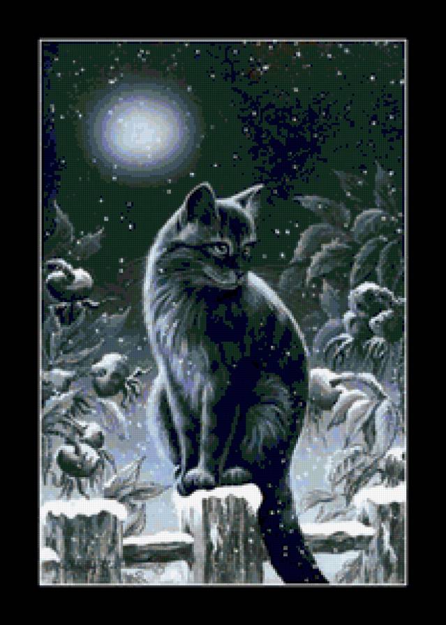 №184759 - кошки - предпросмотр