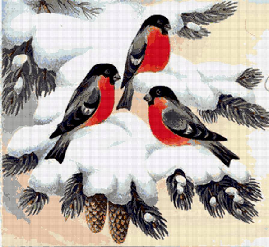 Снегири на ветке - снег, снегирь, шишки, снегири, ель, птицы, природа, зима, год - предпросмотр