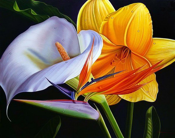 цветы - цветок, растения, природа, экзотика, картина, натюрморт - оригинал