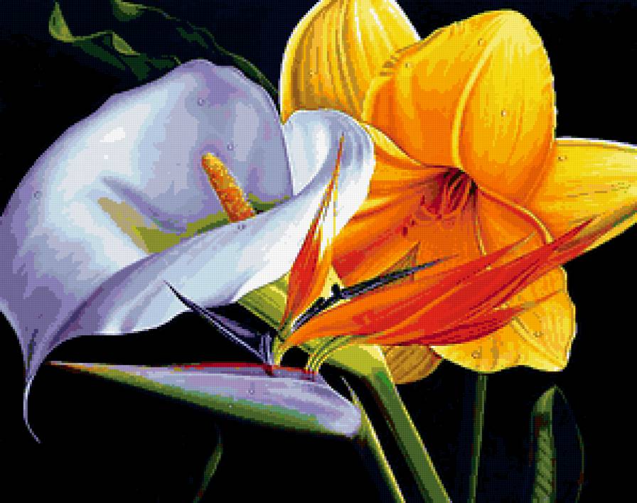 цветы - картина, природа, натюрморт, растения, цветок, экзотика - предпросмотр