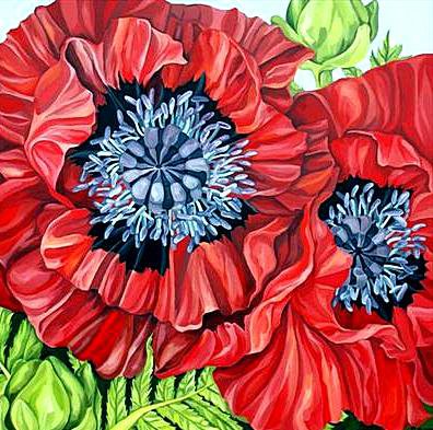 Маки - маки - оригинал