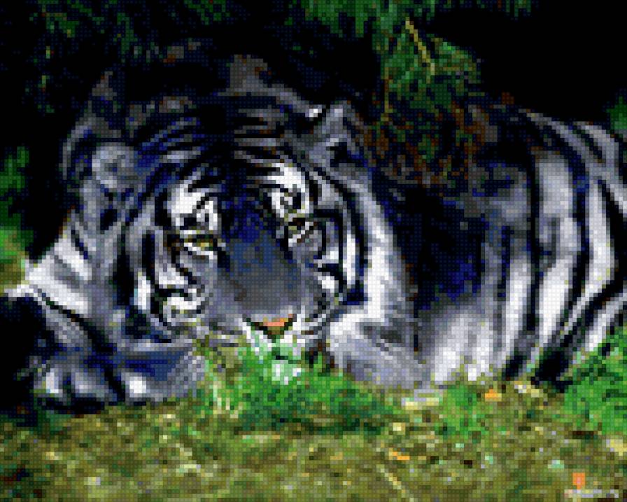 Тигр в ночи - предпросмотр