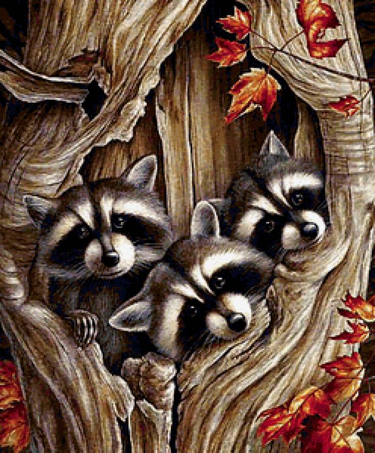 №185041 - предпросмотр