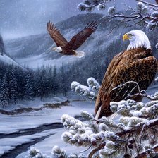 Схема вышивки «№185045»