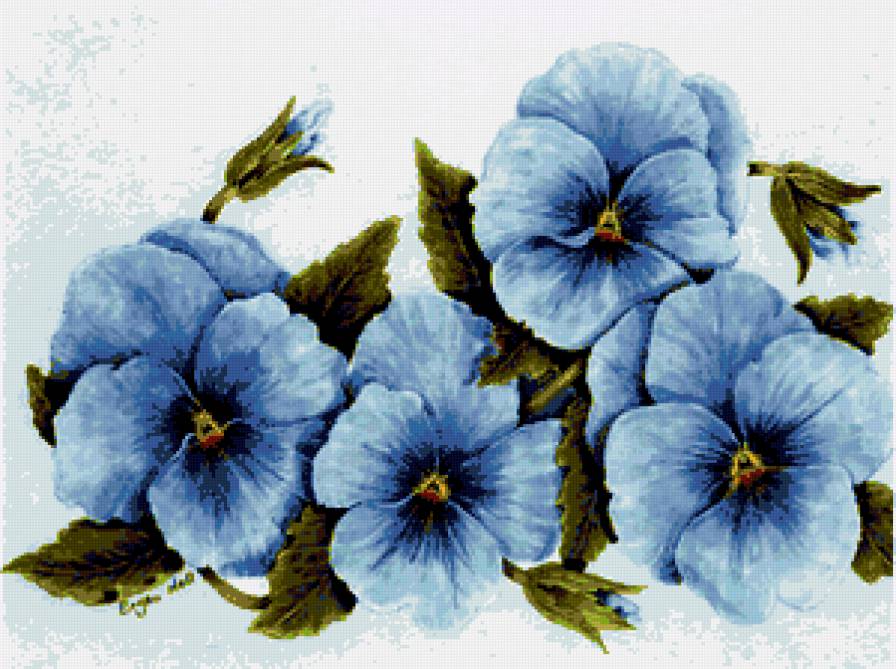 Анютины глазки - флора, цветы, виола, анютки, красота, анютины глазки - предпросмотр