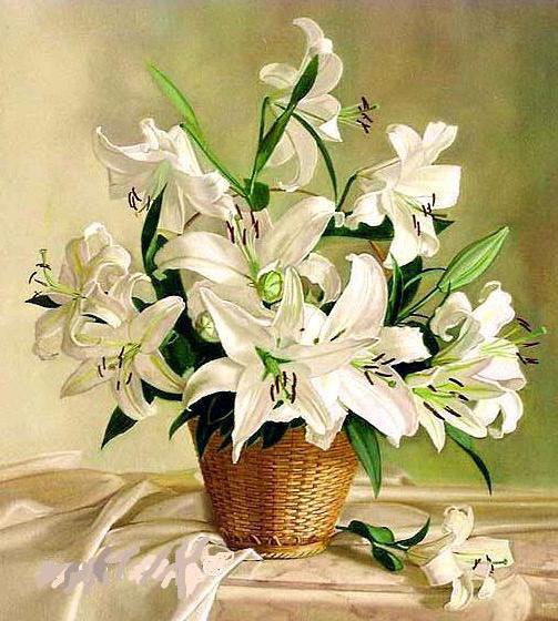 Лилии - цветы - оригинал