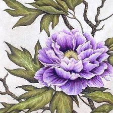 Схема вышивки «голубой пионВ»