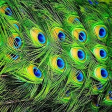 Схема вышивки «№185129»