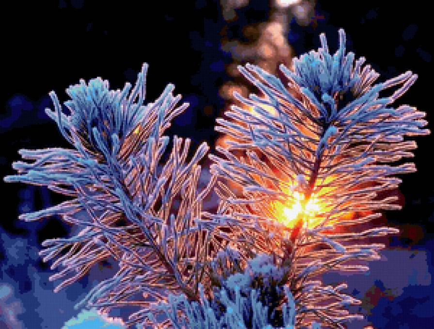 зима - ветка, закат, красота - предпросмотр