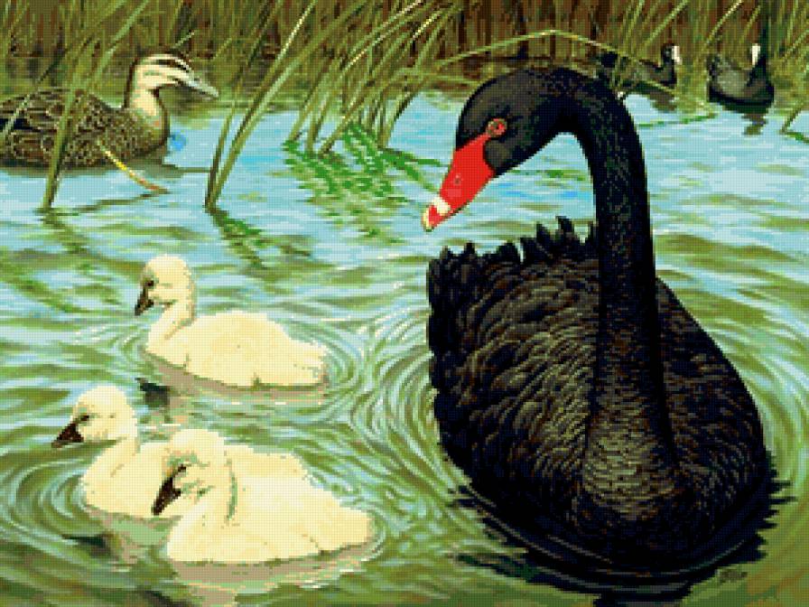 Семья - малыши, анималисты, птицы, семья, картина, живопись, лебеди - предпросмотр