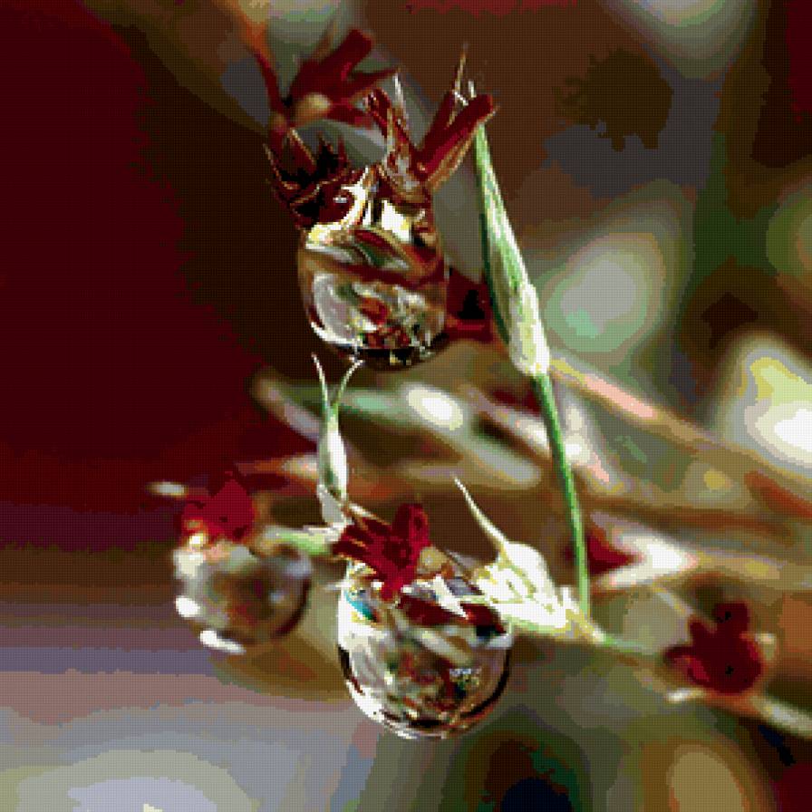 капля 4 - капля - предпросмотр