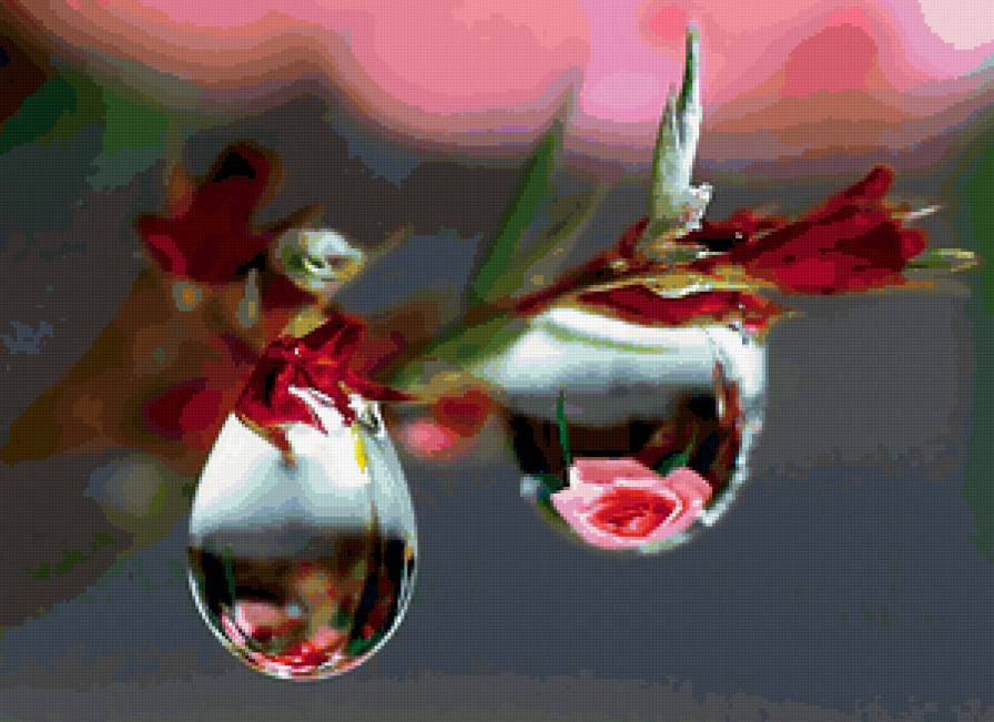 капли - розы - предпросмотр